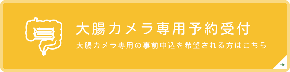 大腸カメラ専用予約受付